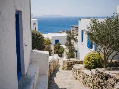 Argassi