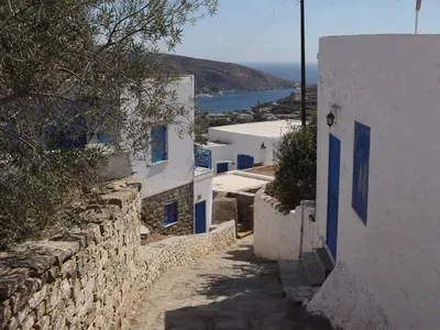 Arkadi